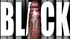 BBC Trainer by Lulu Blond