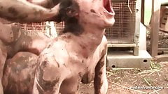 Dirty young amateur brunette ass fucked outdoor